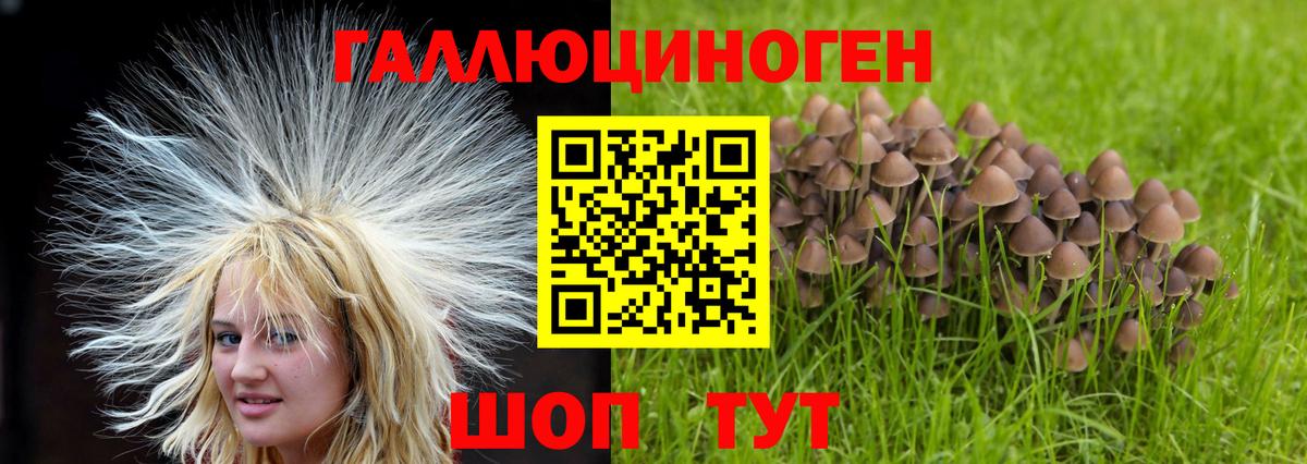 дарнет шоп  Псилоцибиновые грибы ЛСД  Вход с VPN  Астрахань 